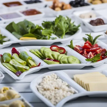 فندق ليه تراس دى سيليمي السليمية