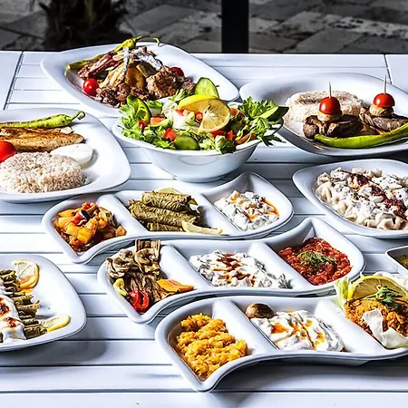 فندق ليه تراس دى سيليمي