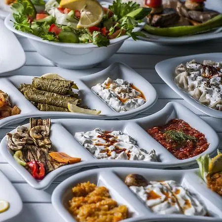 ليه تراس دى سيليمي فندق 3*